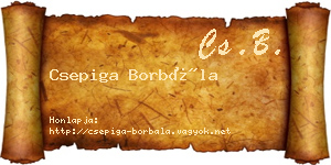 Csepiga Borbála névjegykártya